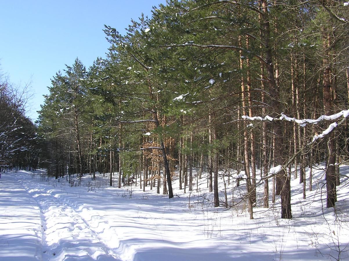 Проживание в семье Dom Piotra Гонёдз-24